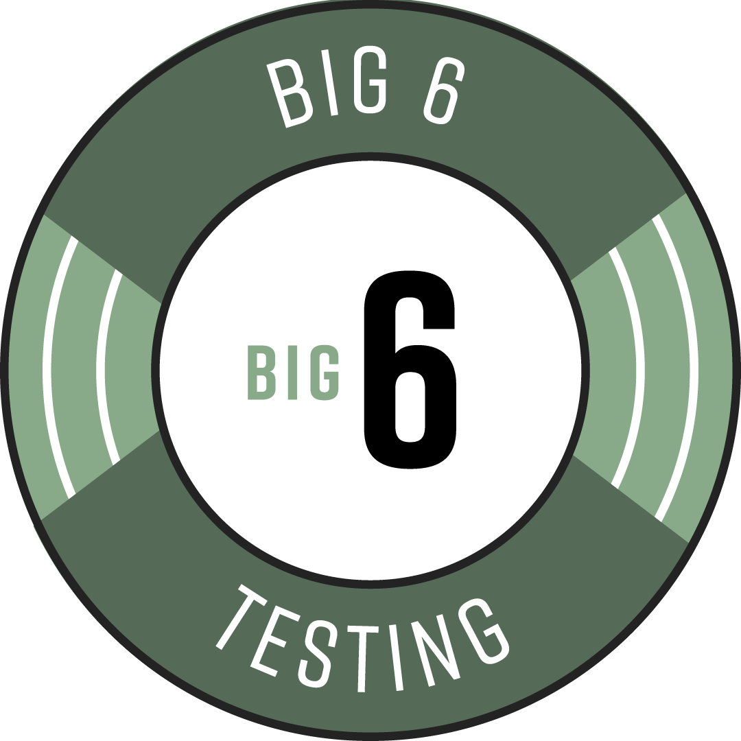 Badge-Big Six