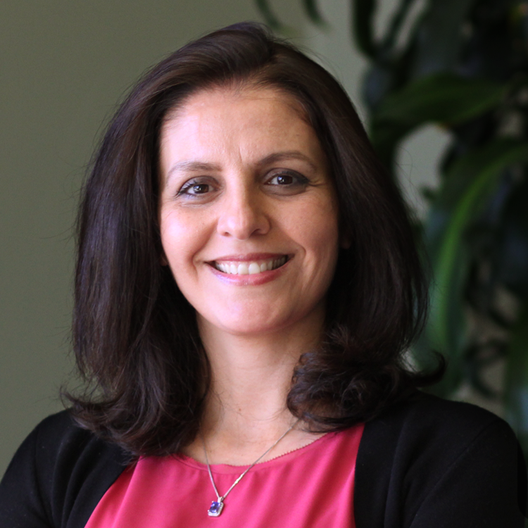 Dr. Hend Letaief