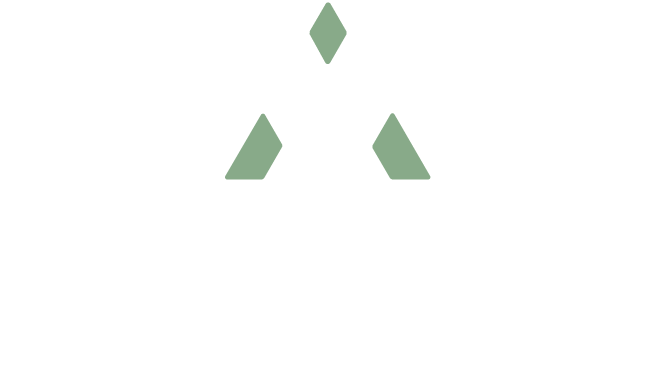 vertosa-white-logo-transparent