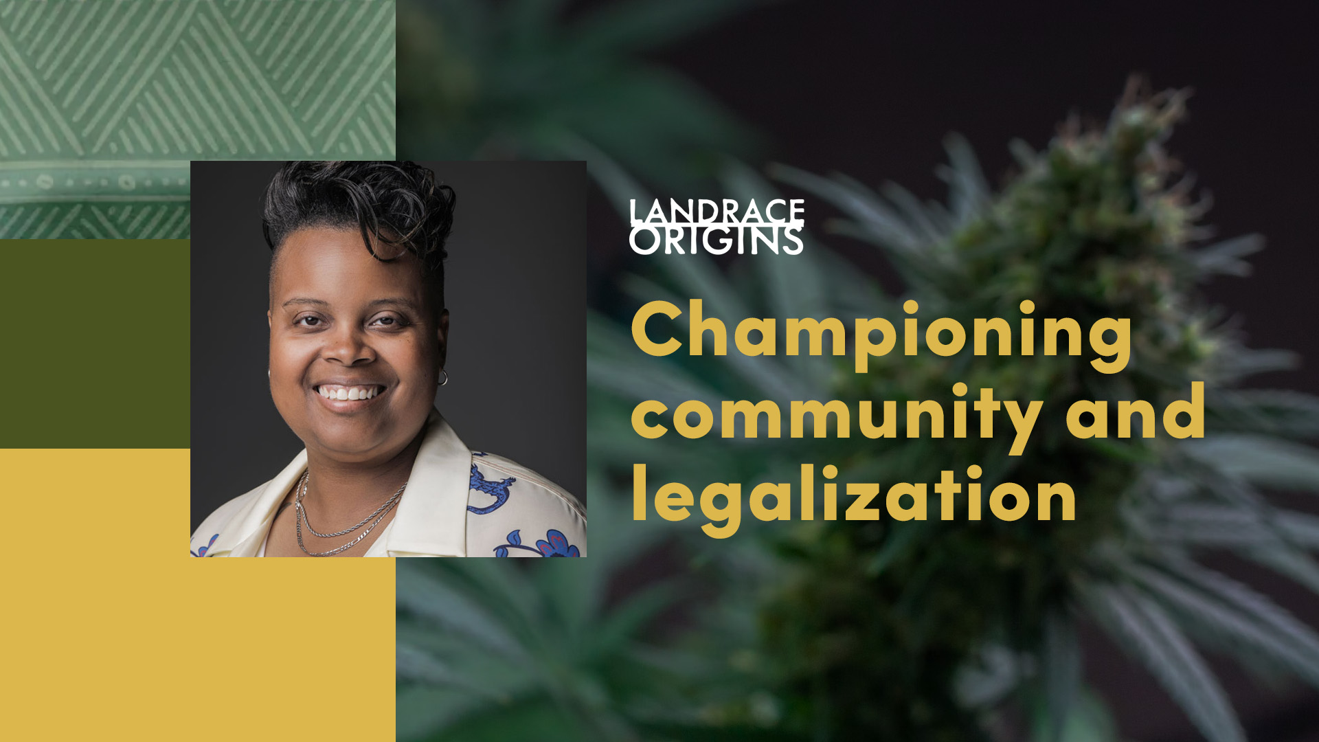 Championing community and legalization