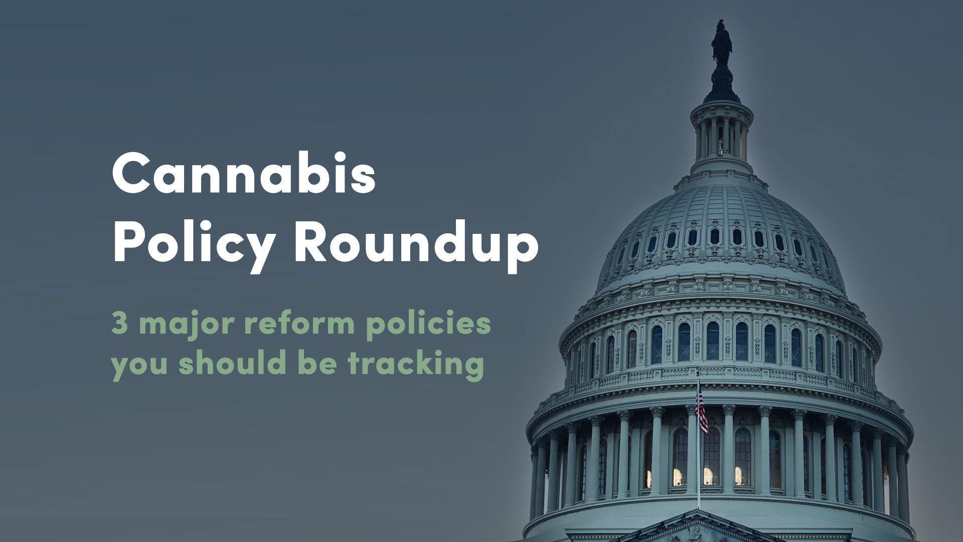 Cannabis Policy Roundup: 3 major reform policies you should be tracking